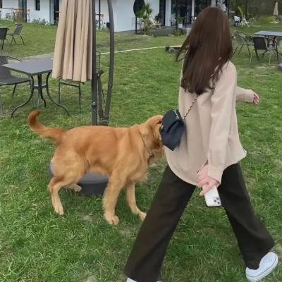 间谍之桥